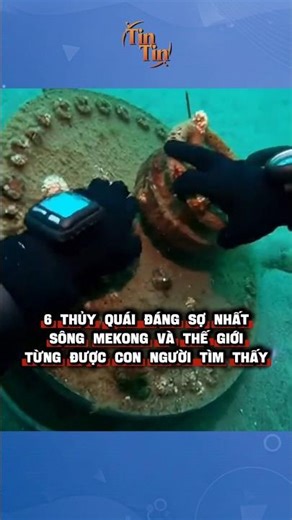 6 THỦY QUÁI ĐÁNG SỢ NHẤT SÔNG MEKONG VÀ TRÊN THẾ GIỚI TỪNG ĐƯỢC CON NGƯỜI NHÌN THẤY #khampha #bian