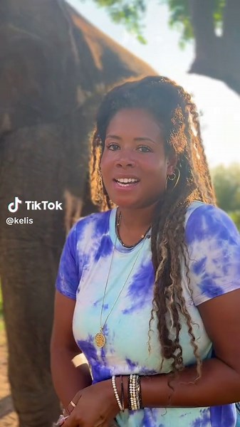 Zambia Safari: Rescued Bull Elephant in Action