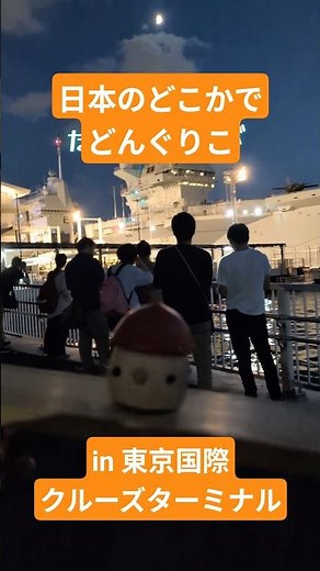 日本のどこかでどんぐりこ in 東京国際クルーズターミナル プリンス・オブ・ウェールズ寄港 #こまむぐ #日本のどこかでどんぐりこ