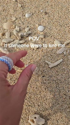 Enthusiasts of Shelling: A Beachcomber's Dream