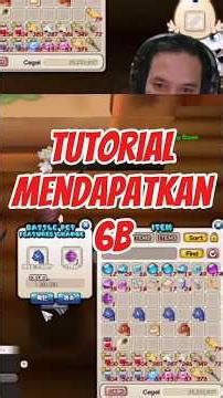How to get 6b cegel tutorial #sealbod #sjk66 #sealbladeofdestiny #sealonline