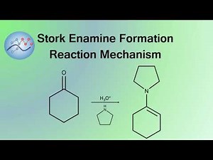 Stork Enamine Formation Mechanism | Organic Chemistry