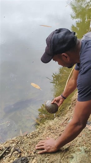 Small Act, Big Impact : Saved Baby Turtle Back To Their Home 🥹🌊