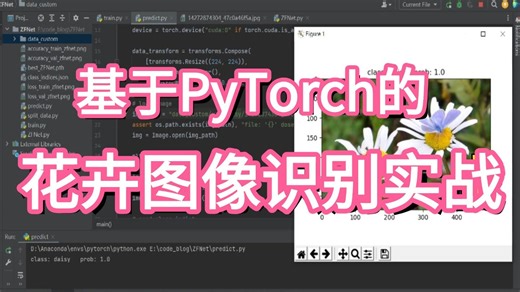 【强烈推荐】研一、研二必学！基于Pytorch框架的花卉图像识别模型实战，原理详解+项目实战，看完就能跑通，毕设有救了，PyTorch/深度学习