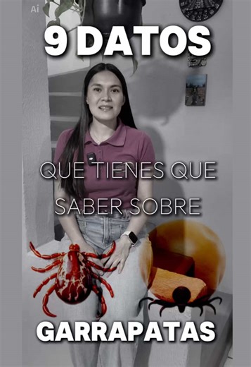 9 datos que tienes que saber sobre las garrapatas. #garrapatas #plagas