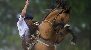 Día de la Tradición, una reunión de gauchos de toda Argentina