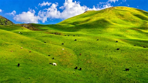 Endless green hills shaped by Hawaii’s volcanic land