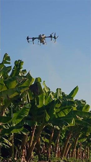 #djit50 #drone #agriculture #manual #akon