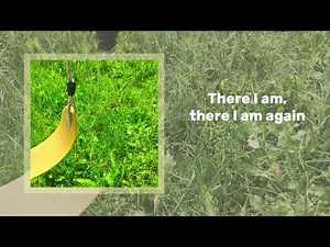 Animation meme audios that I would use if I knew how to animate :(