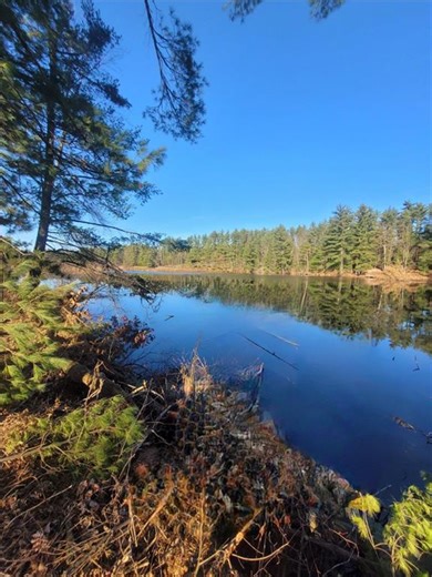 0 Lower Lake Dr, Merrillan, WI 54754 - MLS 1597203 - Coldwell Banker