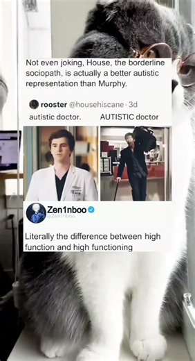 Literally the difference between high function and high functioning