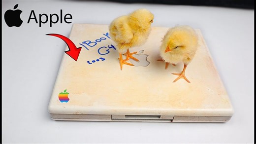 【4K60帧】2003年款苹果 iBook G4 笔记本电脑修复翻新 ASMR | 作者：Restoration EG