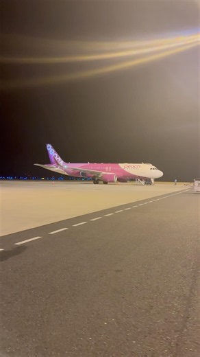 Flying with Peach Aviation 🍑 | Japan’s Popular Low-Cost Airline Experience 🇯🇵✈️