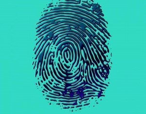 Disciples - On My Mind | Top 40