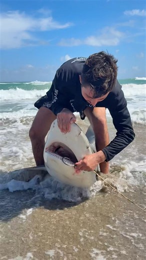 Dehooking a Man Eating Bull Shark!