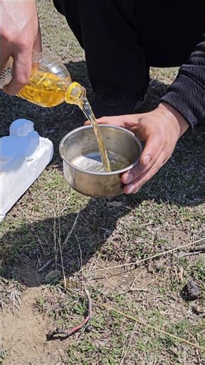 Bushcraft Survival Skills 🔥 The Fire Starter That Never Fails 😳