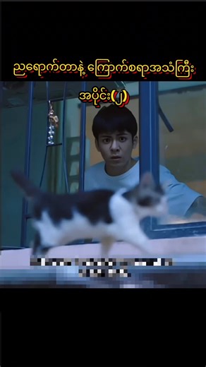 #masktechnology #movierecap #foryou #fyp #viral