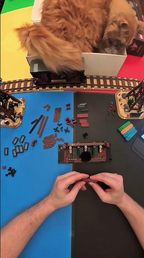 Orange cat gets comfy