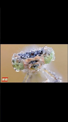 Amazing 4K Wallpapers | Free Download For PC 🖥 2024 |