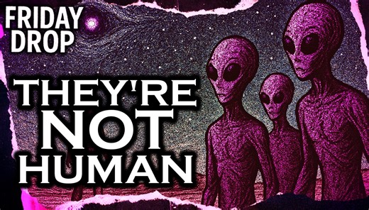 15K views · 240 reactions | 5 Strange Alien Encounters | GhostToast This is my first compilation of some of the strangest alien encounters I’ve ever told—stitched together so you can experience them all in one place. From bizarre beings to unexplained contact, these stories might just make you question what’s really out there… #closeencounters #aliens #UFO | GhostToast | Facebook