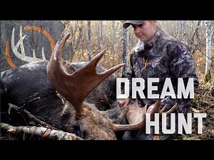 Dream Moose Hunt: Saskatchewan Moose