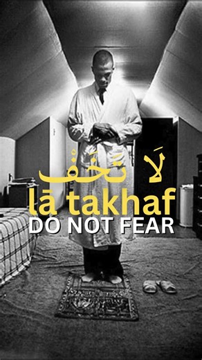 No Fear! - Al-Hajj Malik Al-Shabazz (Malcolm X) #history #fear #shabazz #hajj #malcolmx