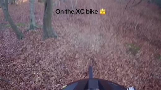 Mountain Biking: XC Bike Adventure on a Trail