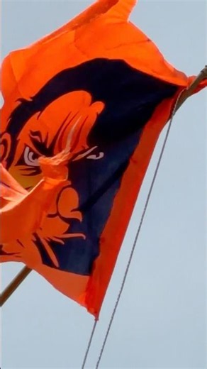 Powerful Orange Flag Flying High! 🚩 | #Shorts #Shorts #Flag #OrangeFlag