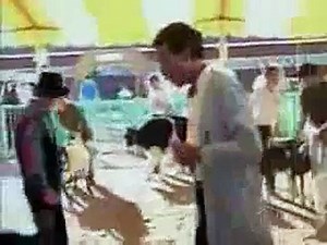 Bill Nye the Science Guy episodes 46 Evolution