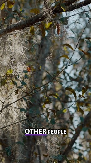 Is Bigfoot real in Florida? Deep in the Everglades, Skunk Ape sightings have been reported for decades. We head into Florida’s most remote swamps with firsthand witnesses, thermal evidence, tracks, and scientific insight to investigate whether these encounters point to an undiscovered primate, feral apes, or something else entirely. This is a grounded, field-based look at Sasquatch in the swamps—no hype, just serious inquiry. #Bigfoot #SkunkApe #Sasquatch #Everglades #Cryptozoology #BigfootDocum