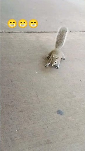 she doesnt like you aqua😆#explore #pets #viral