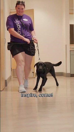 Meet Inspire: The Guide Dog Who Lives Up to Her Name