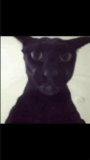 I just got done finishing the evil explosion chamber 😃￼