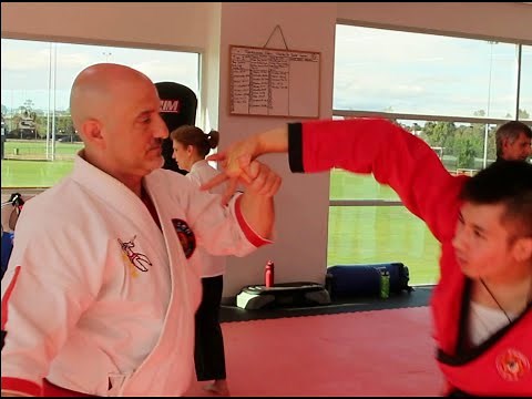 Wally Jay 's Finger & Joint Locking Flow Drills - 'Dances of Pain' by Master Mark Kline & Claudius