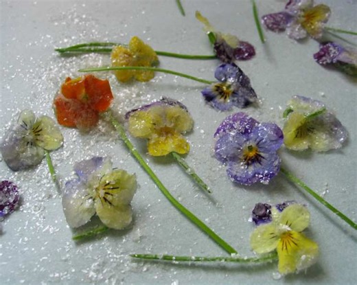 Candied Violets Recipe - Chef's Resource Recipes