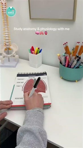 Label, wipe, repeat, learn! 🫀🦴🧠