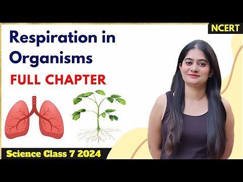 Chapter 6 | Respiration in organisms - Class 7th Science | NCERT COVERED | FULL CHAPTER | ONE SHOT