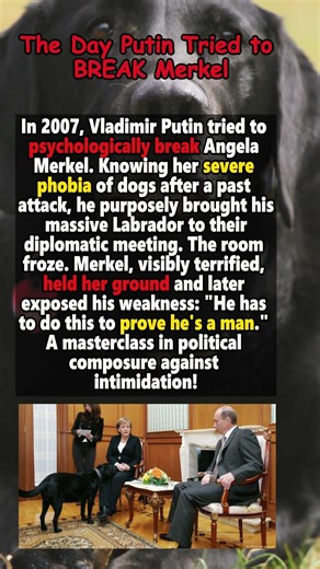 The Day Putin Tried to BREAK Merkel 😳🐕
