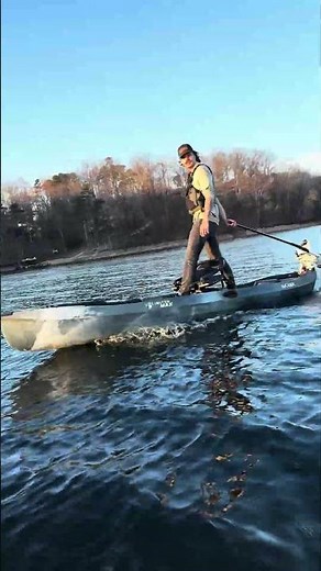 UMAX | See It In Action!