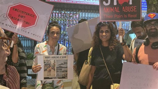 Animal Rights Groups Announce Nationwide ‘Do Or Die’ Protest On January 4 Demanding Humane Laws