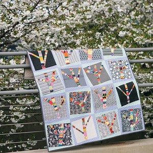 Wonky Framed Blocks - Aunt Ems Quilts