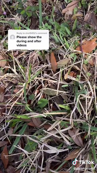 Removing Sod: A Step-by-Step Guide