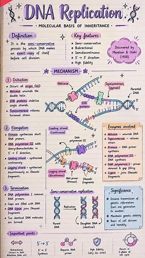 Molecular Basis of Inheritance Full Chapter Explained | Class 12 Biology📗