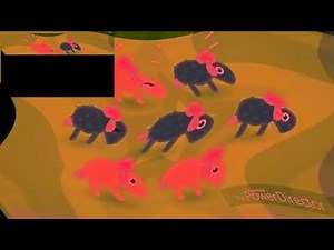 Preview 2 Pango Sheep intro HD in 4ormulator V12 Effects