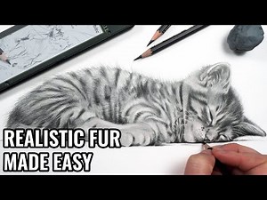 How To Draw Fur With Graphite Pencils
