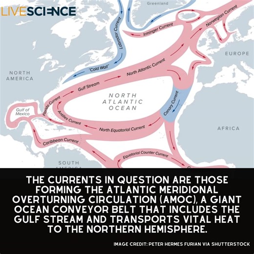 298K views · 9.4K reactions | Leading climate scientists ring alarm bell on key Atlantic Ocean current collapse in open letter Learn more https://trib.al/xzOmNpt | LiveScience | Facebook