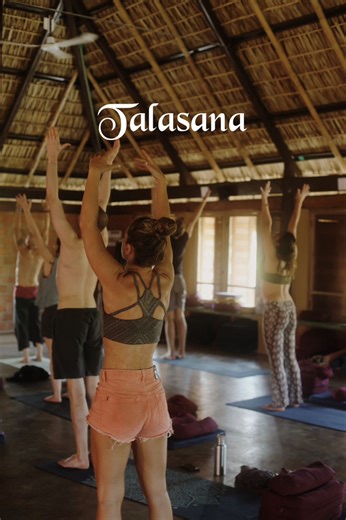 Talasana, the Palm Tree Pose In this pose, the arms are raised overhead with the palms facing each other, resembling the trunk and branches of a palm tree. This asana develops a sense of balance while stretching the whole body, allowing energy to flow freely throughout the spine. We recommend holding talasana for several minutes, keeping the shoulders relaxed and finding a balance between effort and relaxation. While practicing it, and for a few minutes afterward, keep your eyes closed to observ