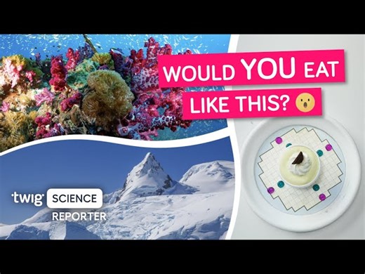 Twig Science: Find Out How You Can Make Your Food Dance