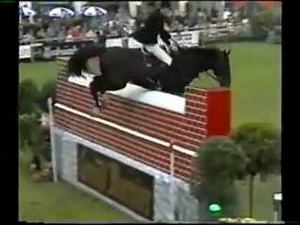 Victoire d'une puissance à 2m40 :O (Franke Slootaak en selle sur Leonardo) | CSO de merde