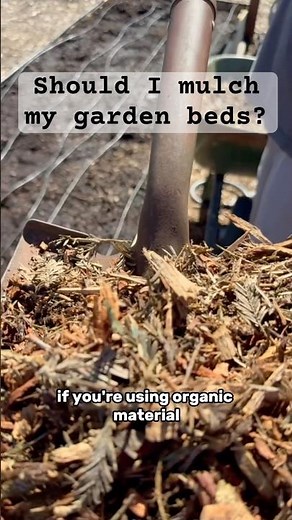 Using Leaves as Mulch: The Best Way to Improve Your Raised Beds
